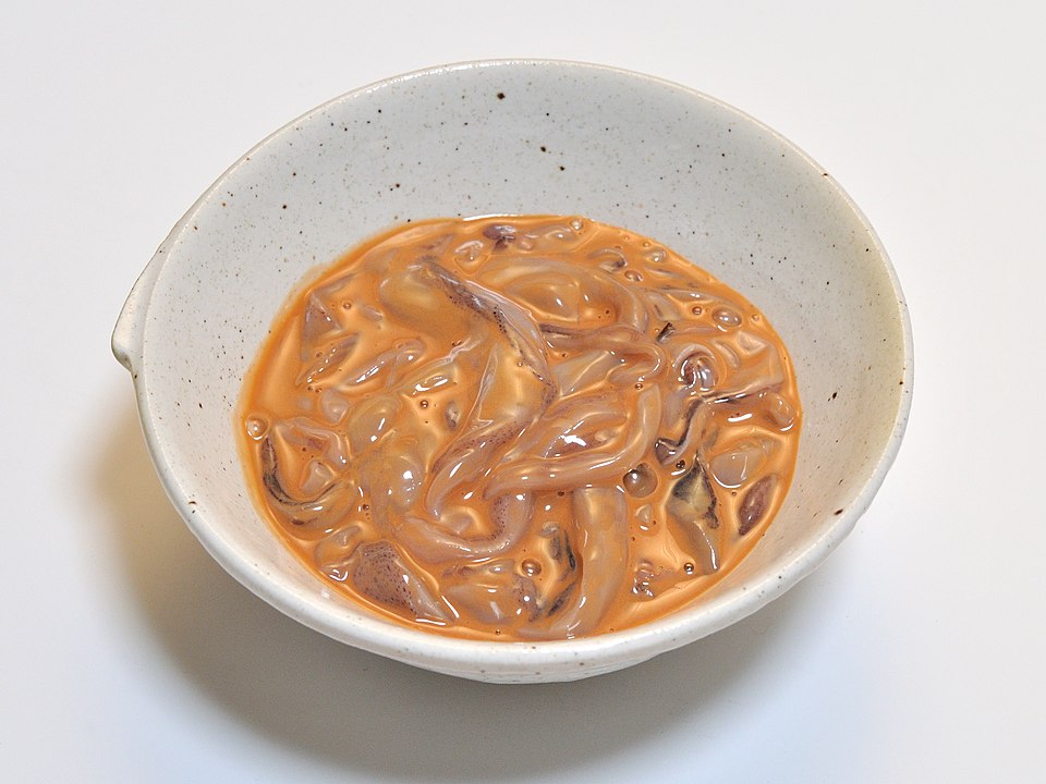 Shiokara 001